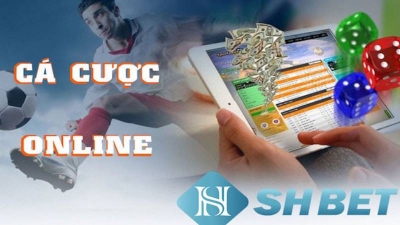 Shbett.site - Thế giới cá cược đa dạng và chất lượng