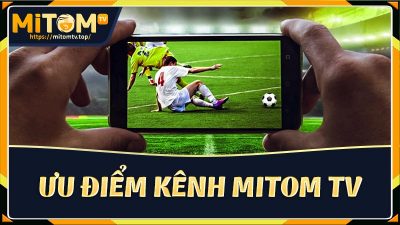 Mitom TV - Top web trực tiếp bóng đá đáng tin cậy nhất 2024